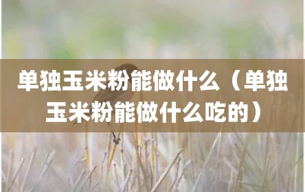 单独玉米粉能做什么（单独玉米粉能做什么吃的）