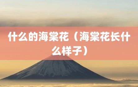 什么的海棠花（海棠花长什么样子）