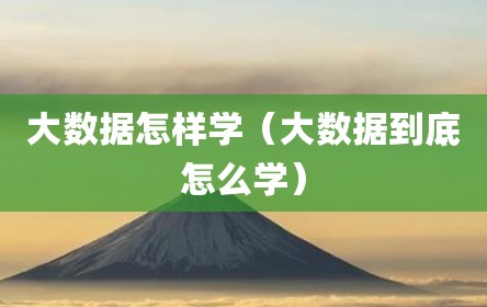 大数据怎样学（大数据到底怎么学）