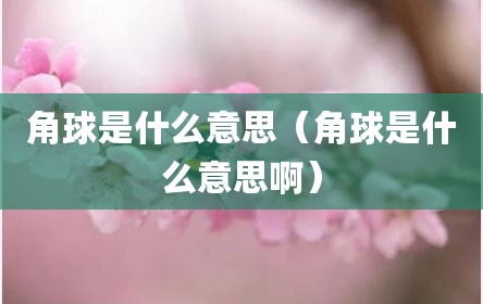 角球是什么意思（角球是什么意思啊）