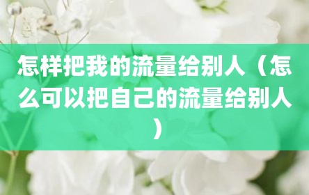 怎样把我的流量给别人（怎么可以把自己的流量给别人）