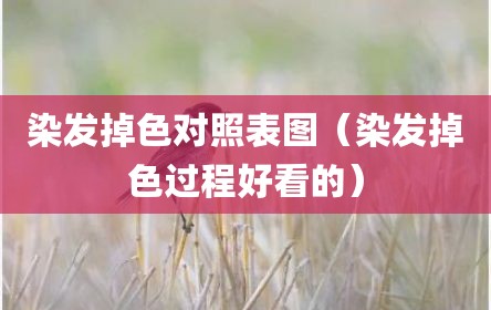 染发掉色对照表图（染发掉色过程好看的）
