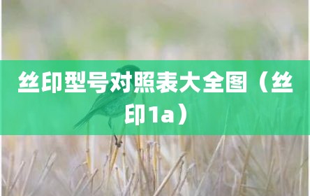 丝印型号对照表大全图（丝印1a）