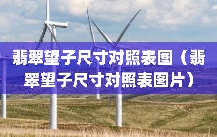翡翠望子尺寸对照表图（翡翠望子尺寸对照表图片）