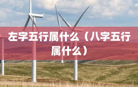 左字五行属什么（八字五行属什么）