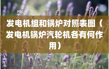 发电机组和锅炉对照表图（发电机锅炉汽轮机各有何作用）