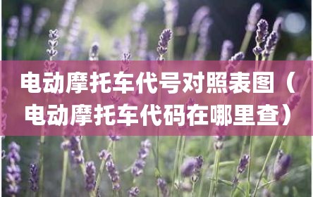 电动摩托车代号对照表图（电动摩托车代码在哪里查）
