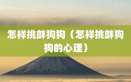 怎样挑衅狗狗（怎样挑衅狗狗的心理）