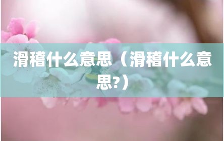 滑稽什么意思（滑稽什么意思?）