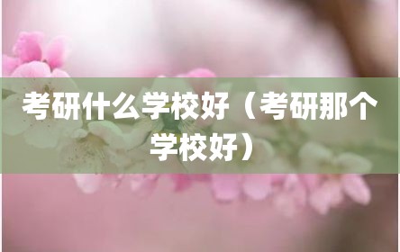 考研什么学校好（考研那个学校好）