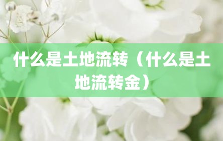 什么是土地流转（什么是土地流转金）