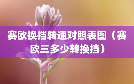 赛欧换挡转速对照表图（赛欧三多少转换挡）