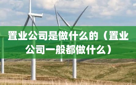 置业公司是做什么的（置业公司一般都做什么）
