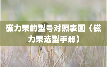 磁力泵的型号对照表图（磁力泵选型手册）