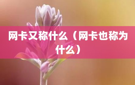 网卡又称什么（网卡也称为什么）
