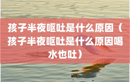 孩子半夜呕吐是什么原因（孩子半夜呕吐是什么原因喝水也吐）