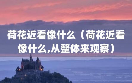 荷花近看像什么（荷花近看像什么,从整体来观察）