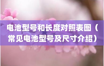电池型号和长度对照表图（常见电池型号及尺寸介绍）