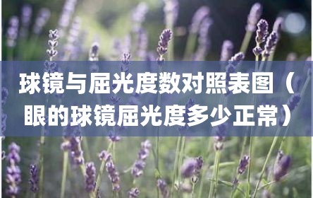 球镜与屈光度数对照表图（眼的球镜屈光度多少正常）