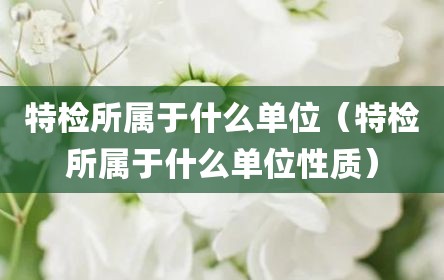 特检所属于什么单位（特检所属于什么单位性质）