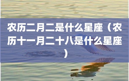 农历二月二是什么星座（农历十一月二十八是什么星座）
