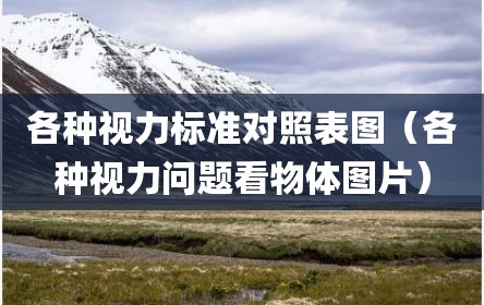 各种视力标准对照表图（各种视力问题看物体图片）