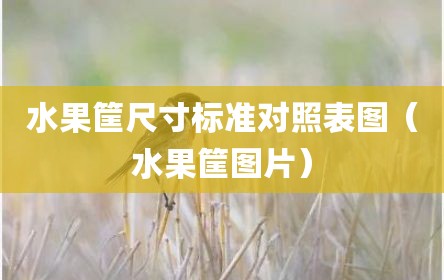 水果筐尺寸标准对照表图（水果筐图片）