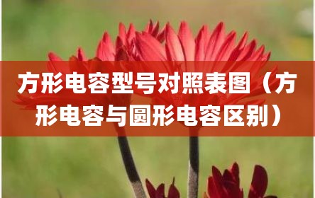 方形电容型号对照表图（方形电容与圆形电容区别）