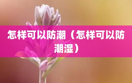 怎样可以防潮（怎样可以防潮湿）