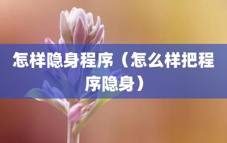 怎样隐身程序（怎么样把程序隐身）