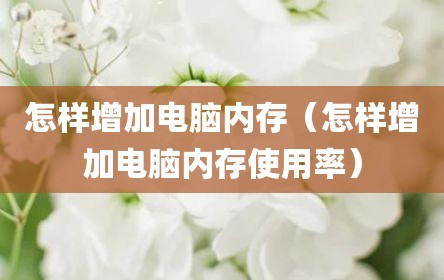 怎样增加电脑内存（怎样增加电脑内存使用率）