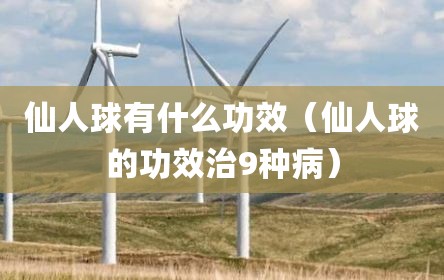 仙人球有什么功效（仙人球的功效治9种病）