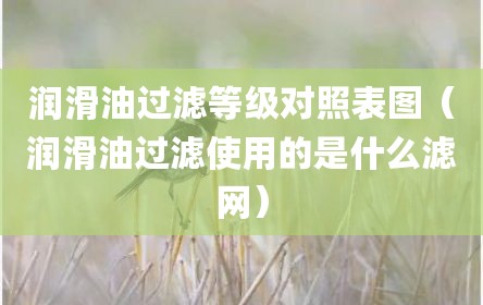 润滑油过滤等级对照表图（润滑油过滤使用的是什么滤网）