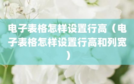 电子表格怎样设置行高（电子表格怎样设置行高和列宽）