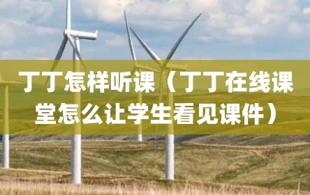 丁丁怎样听课（丁丁在线课堂怎么让学生看见课件）