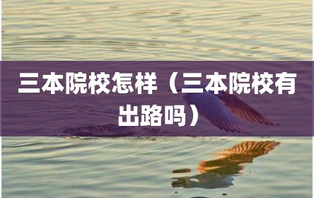 三本院校怎样（三本院校有出路吗）