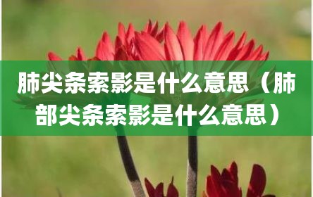 肺尖条索影是什么意思（肺部尖条索影是什么意思）