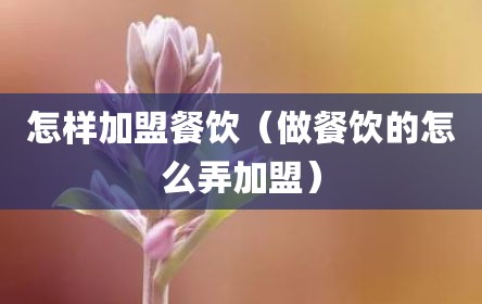 怎样加盟餐饮（做餐饮的怎么弄加盟）