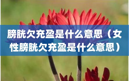 膀胱欠充盈是什么意思（女性膀胱欠充盈是什么意思）