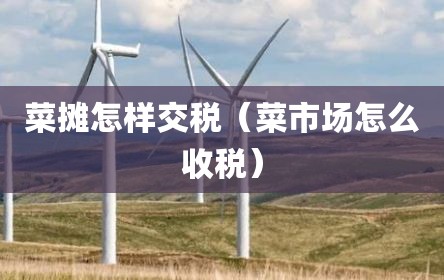 菜摊怎样交税（菜市场怎么收税）
