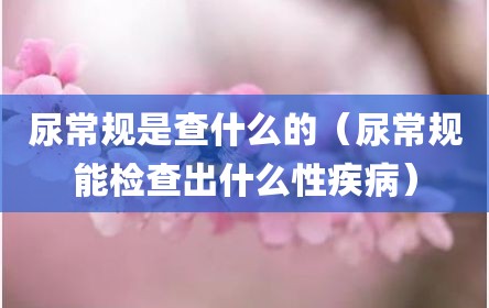 尿常规是查什么的（尿常规能检查出什么性疾病）