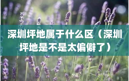 深圳坪地属于什么区（深圳坪地是不是太偏僻了）