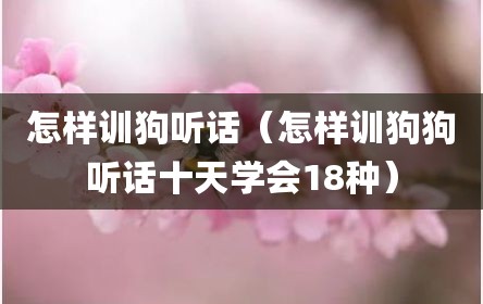 怎样训狗听话（怎样训狗狗听话十天学会18种）