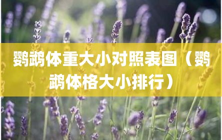 鹦鹉体重大小对照表图（鹦鹉体格大小排行）