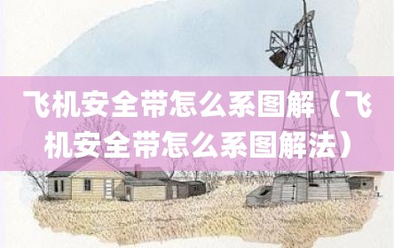 飞机安全带怎么系图解（飞机安全带怎么系图解法）