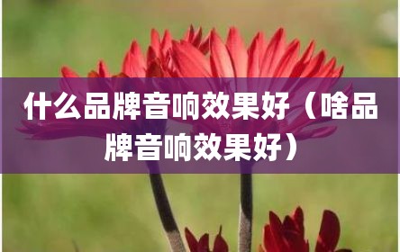 什么品牌音响效果好（啥品牌音响效果好）