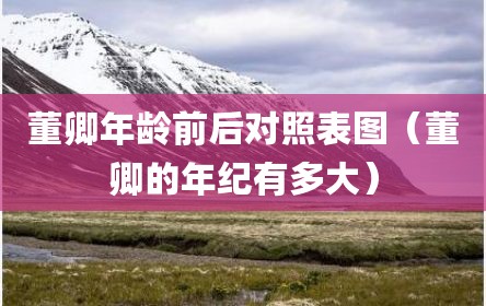 董卿年龄前后对照表图（董卿的年纪有多大）