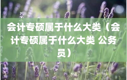 会计专硕属于什么大类（会计专硕属于什么大类 公务员）