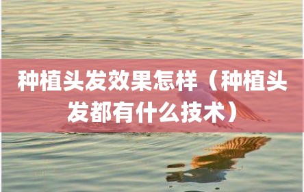 种植头发效果怎样（种植头发都有什么技术）