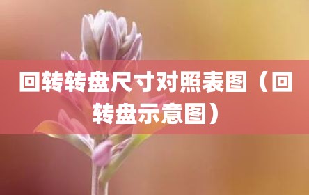 回转转盘尺寸对照表图（回转盘示意图）